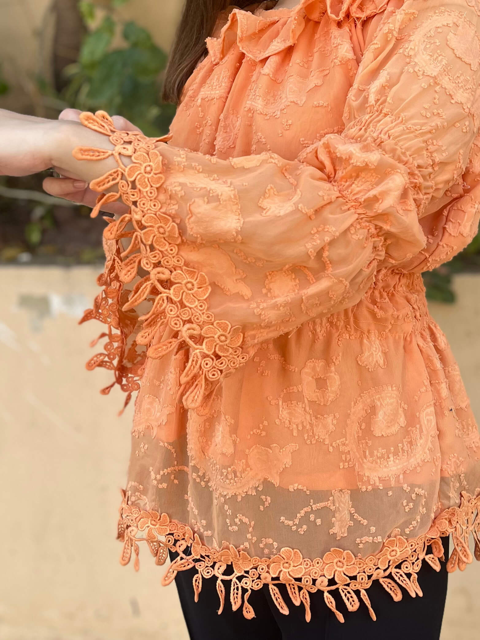 Chiffon Brochia Top