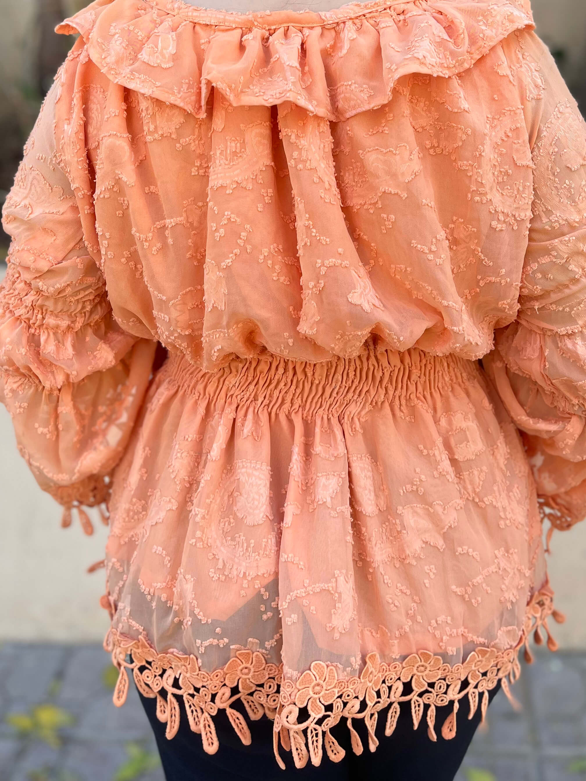Chiffon Brochia Top