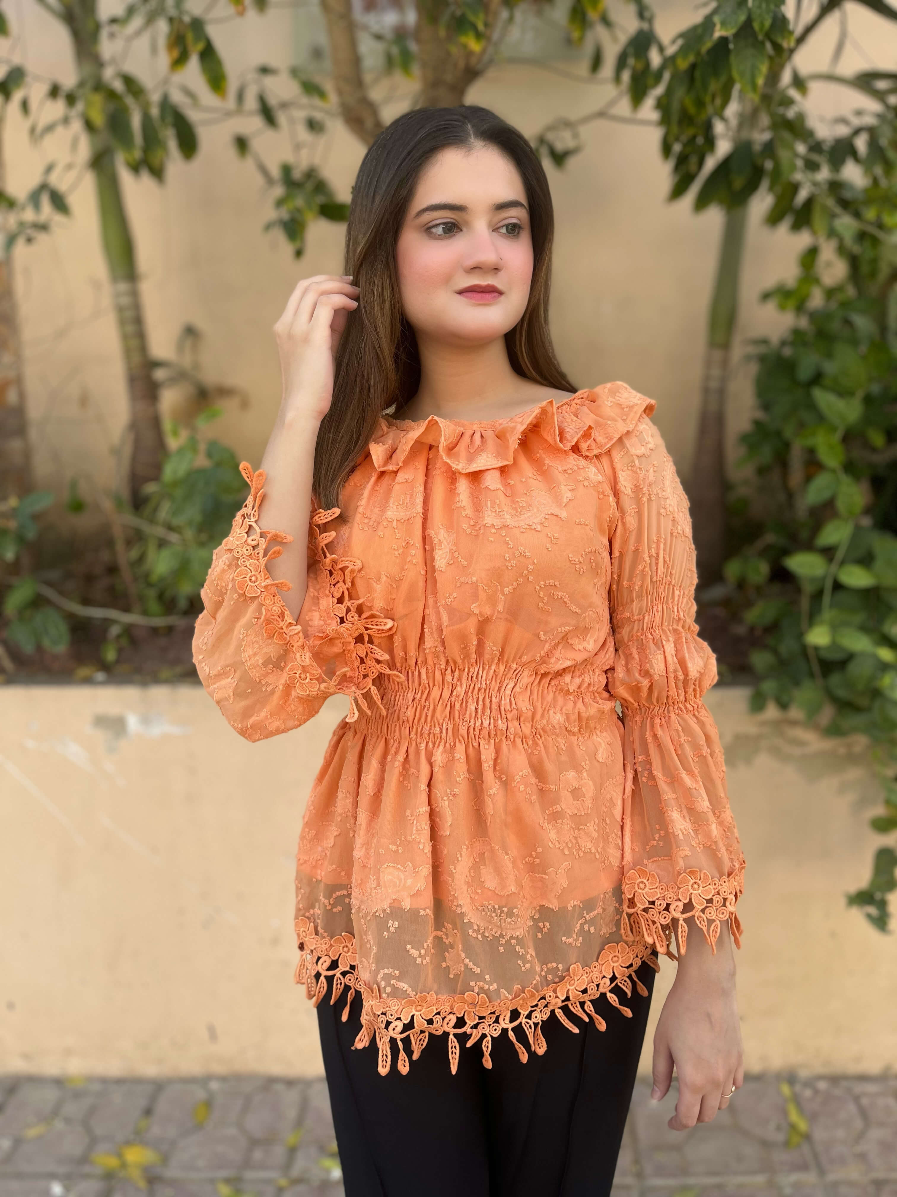 Chiffon Brochia Top