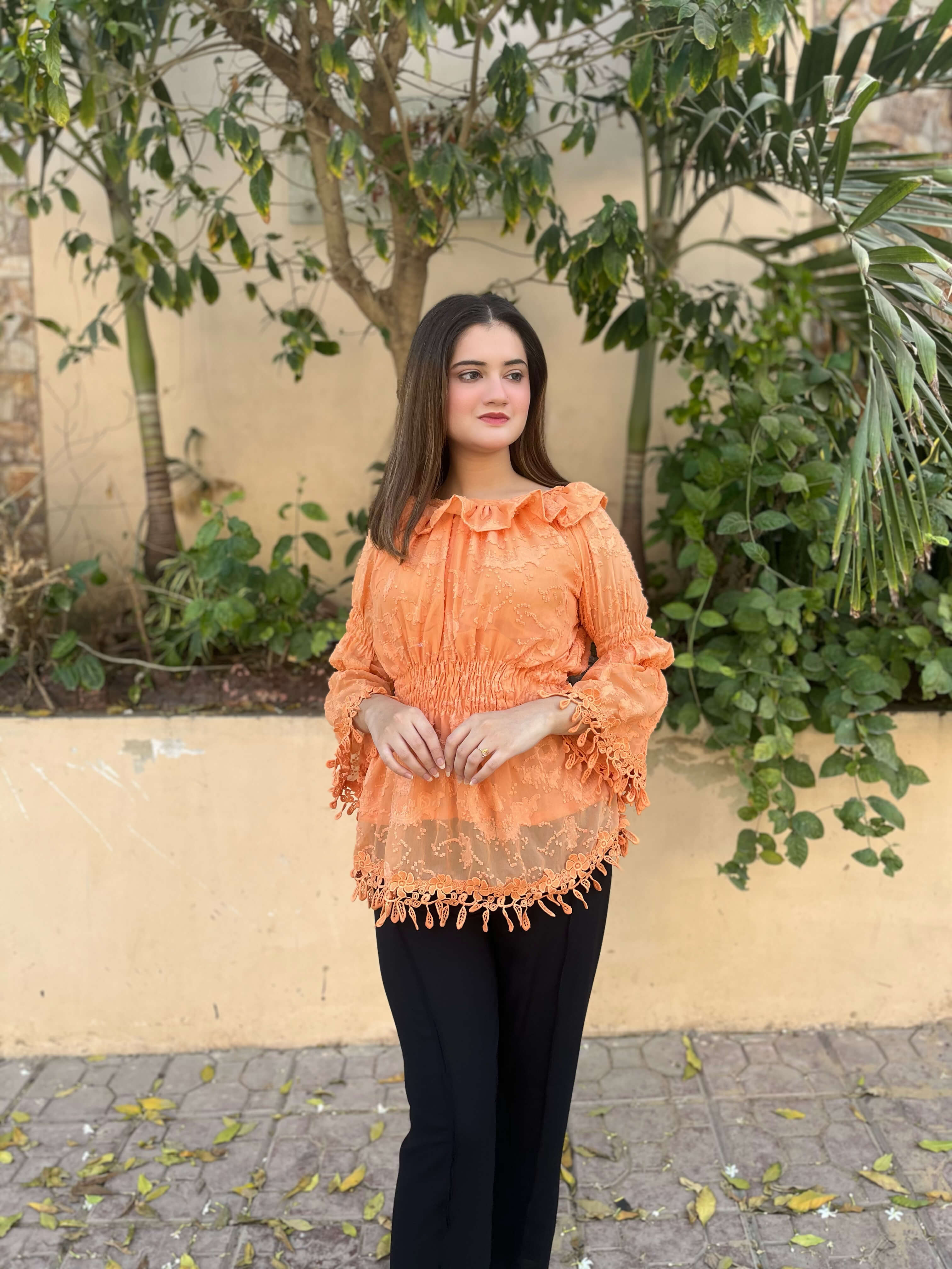 Chiffon Brochia Top